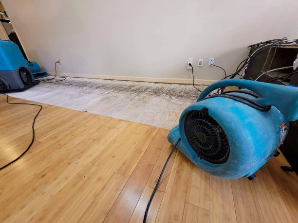 Professional Ceiling Water Damage Repair technician working in Marysville, KS